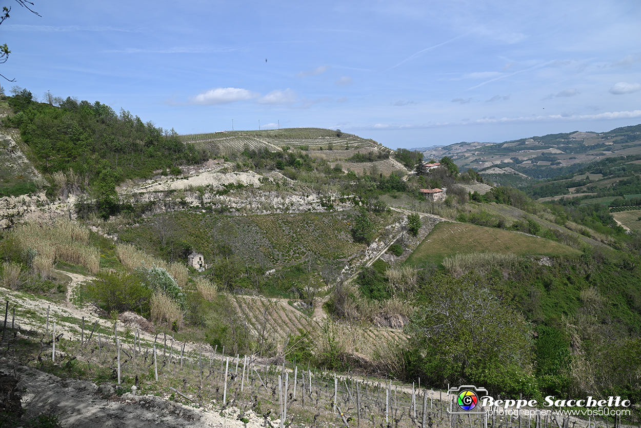 VBS_3163 - Mango (Cuneo) - Gnomovia.jpg